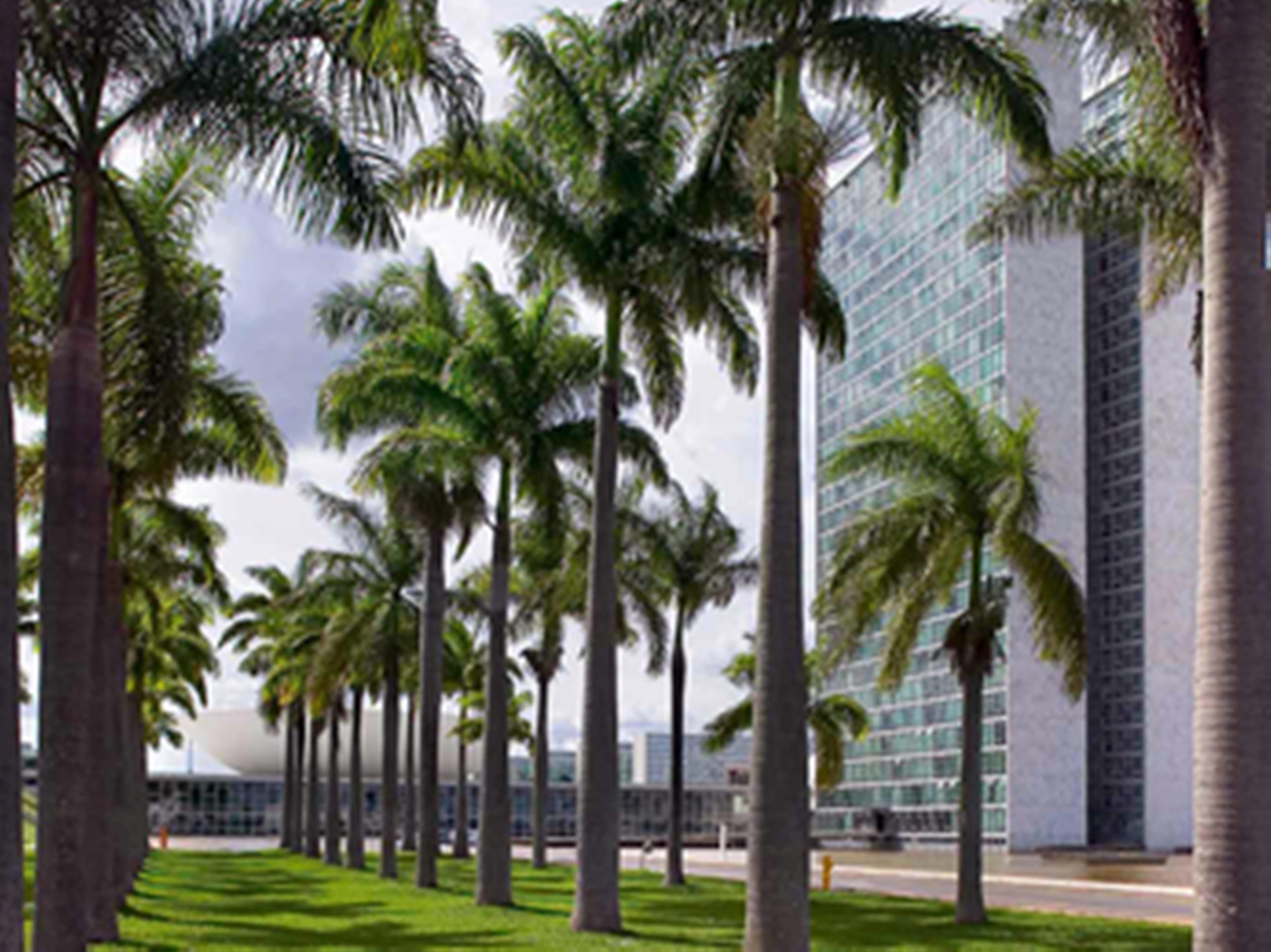 Mercure Brasilia Lider 4* Brasilia